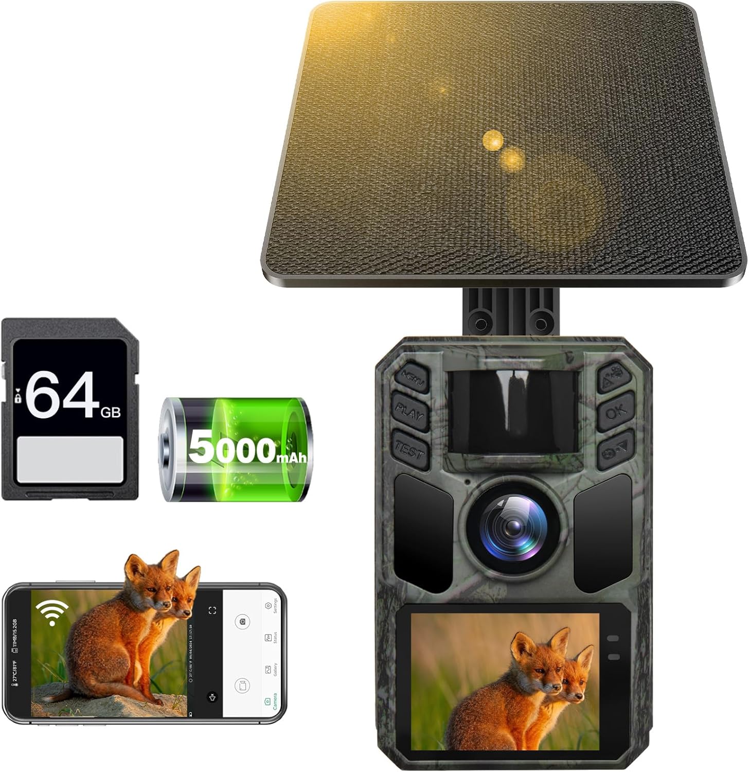 トレイルカメラとは？防犯カメラとの違いやメリット、おすすめ製品を